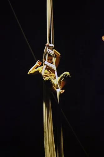 THIS IS THE END, spectacle de fin d'études de la 23e promotion du Centre national des arts du cirque/CNAC de Châlons-en-Champagne, mis en scène par David Bobee