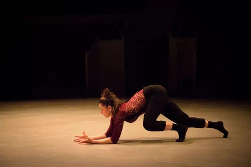 Lucille Chalopin, contorsions - équilibres - acrobatie, 30e promotion du centre national des arts du cirque (Cnac) de Châlons-en-Champagne