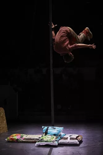 Aris Colangelo, mât chinois, 32e promotion du Centre national des arts du cirque/CNAC de Châlons-en-Champagne